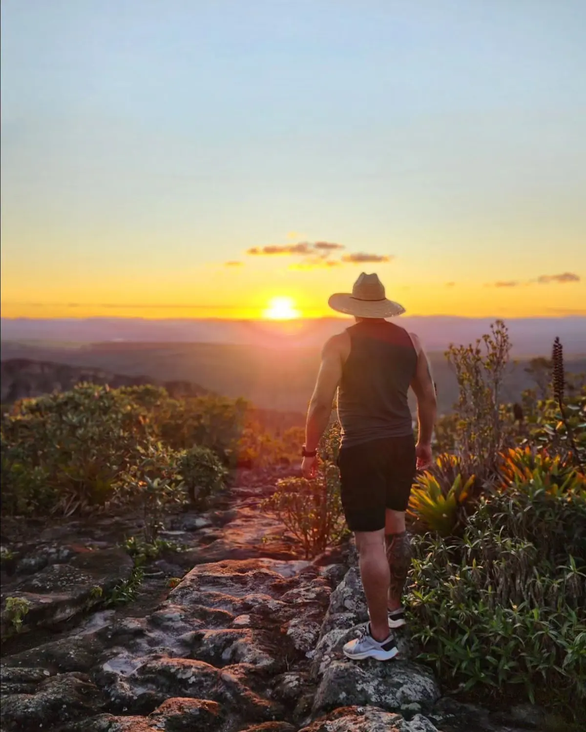 Homem de chapéu de palha caminhando sobre um lajedo com bromélias ao pôr do sol